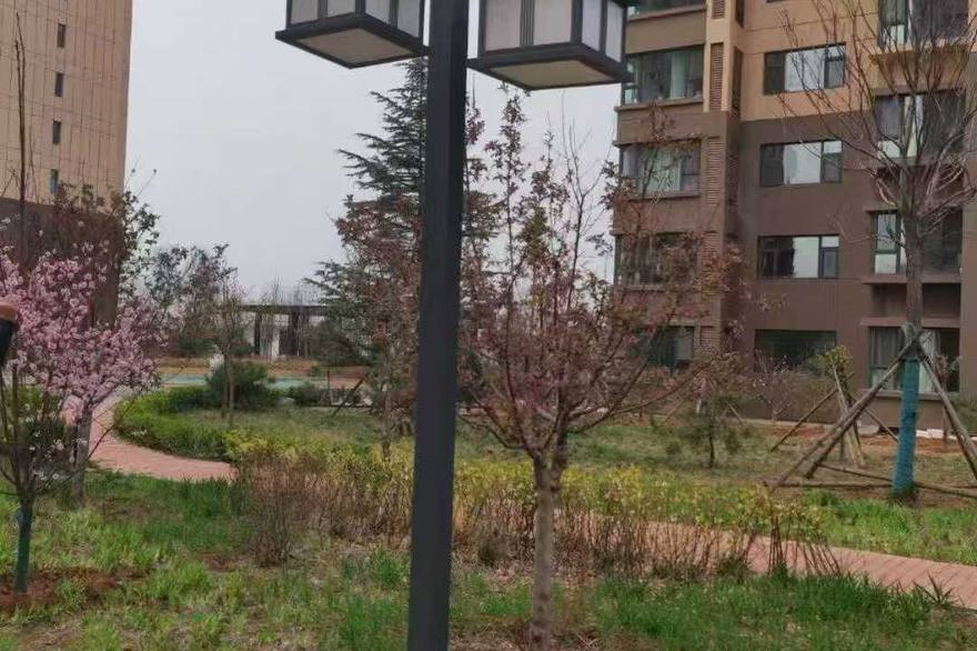 内江市太阳能路灯应用场景实拍